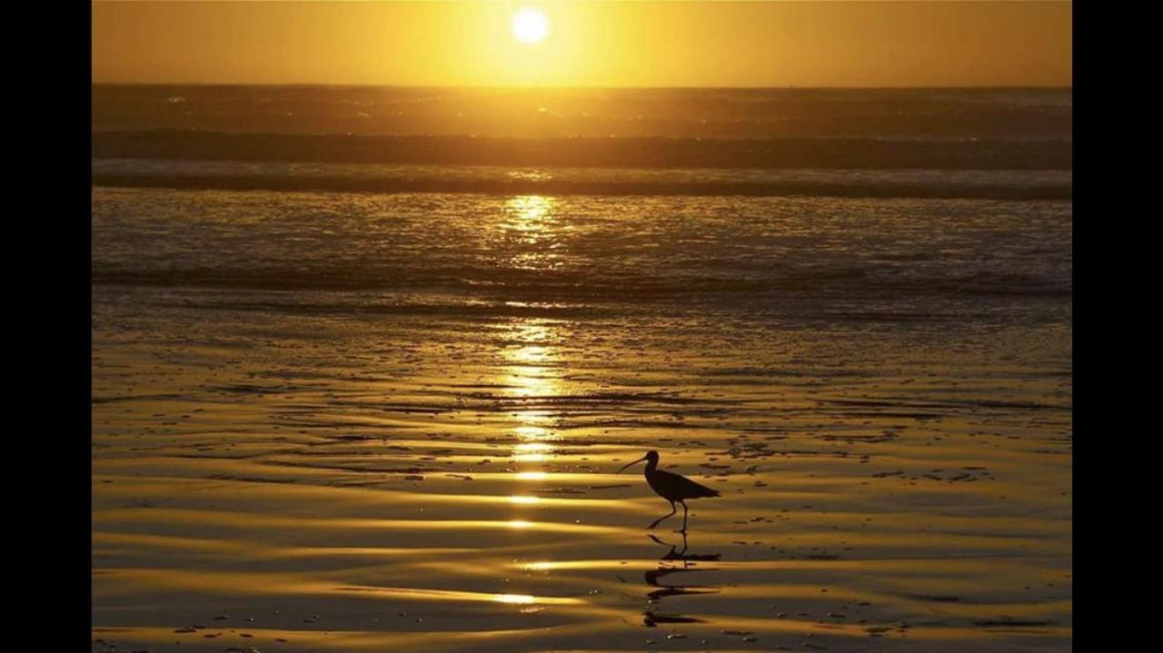Camping De La Mer كاميير المظهر الخارجي الصورة